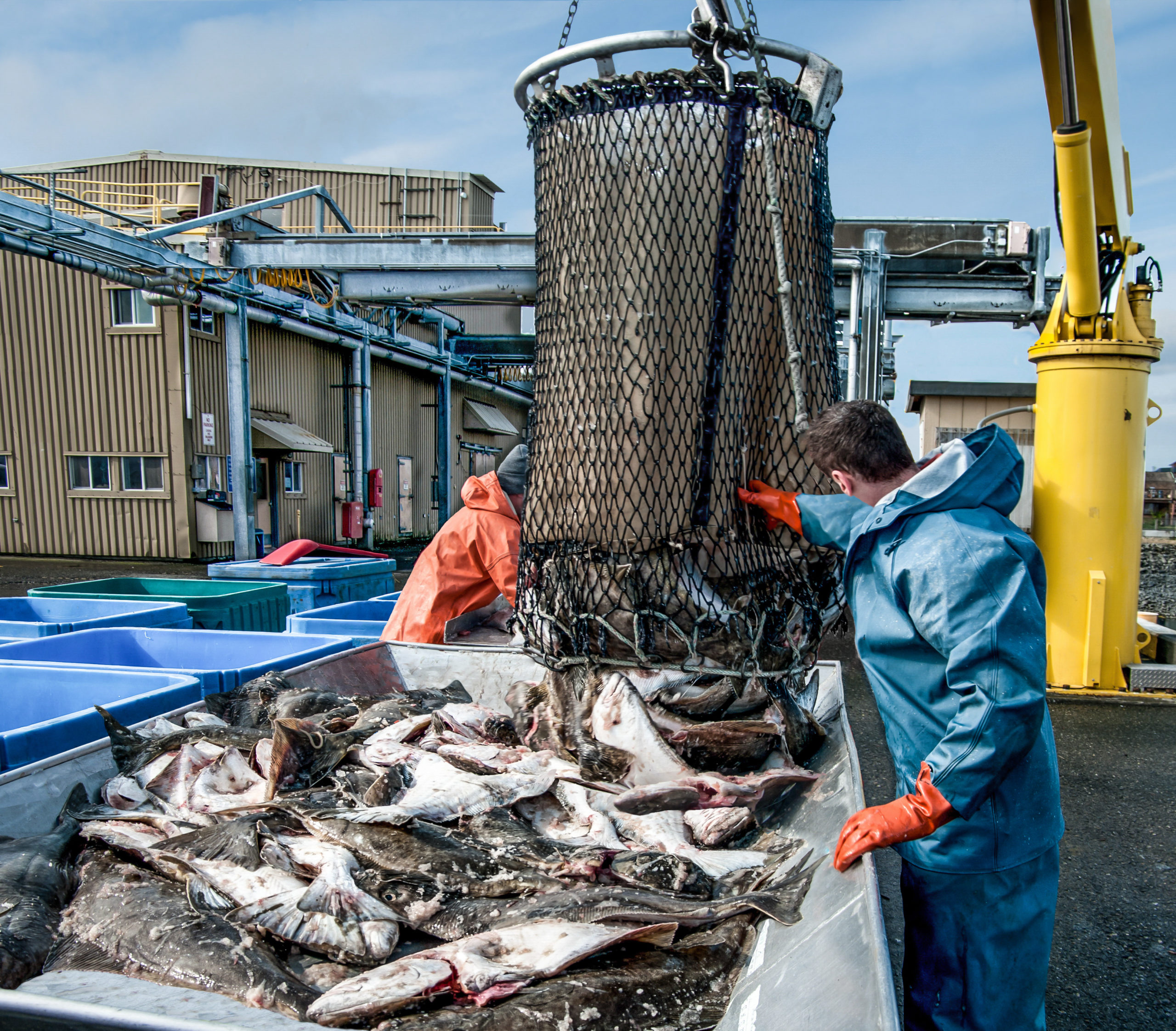 Buying Alaska fish from fishermen