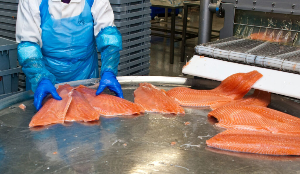 Seafood & Agriculture Quality Control Software | goNorthScope
